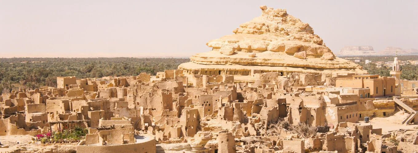 Panoramic view of Siwa Oasis with dense palm groves and golden sand dunes stretching to the horizon