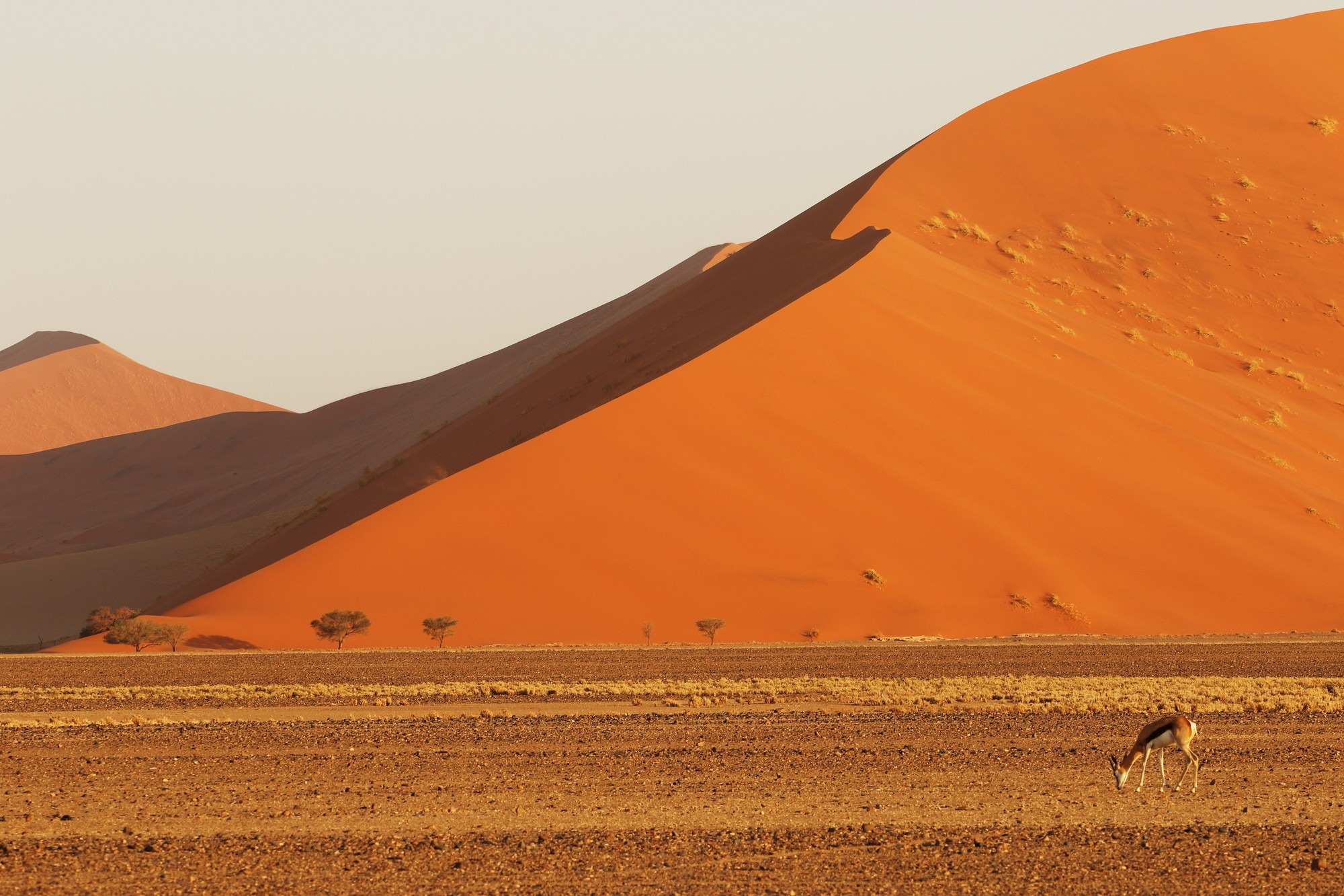 Treasures of Egypt & Oman